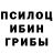 Псилоцибиновые грибы Psilocybe Alexander Webley