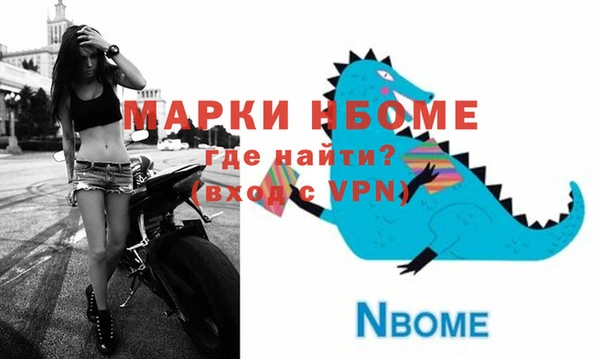 хмурый Алексин