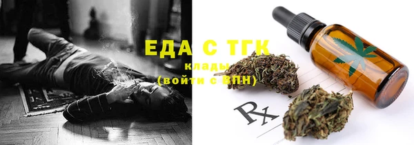 хмурый Алексин