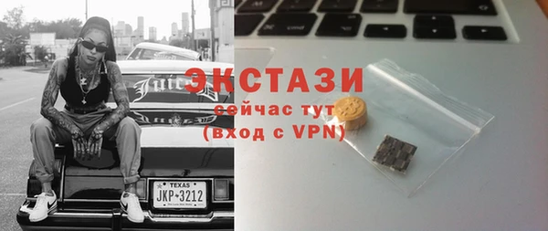 хмурый Алексин
