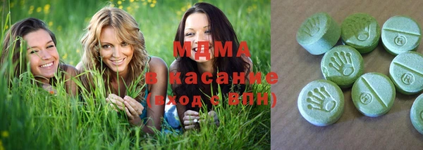 хмурый Алексин