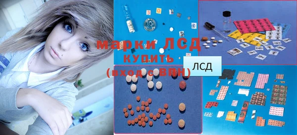 хмурый Алексин