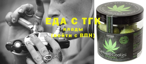 хмурый Алексин