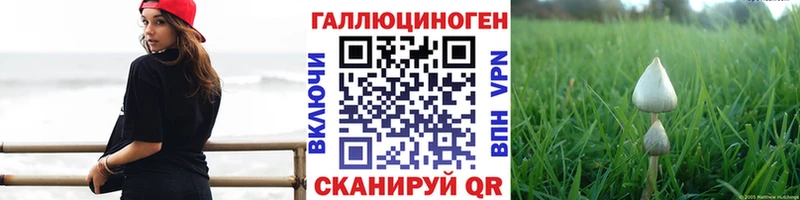 Псилоцибиновые грибы GOLDEN TEACHER  Железногорск-Илимский 
